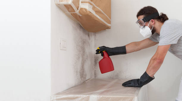 Professional Mold Inspection And Testing technician working in Frankfort, MI