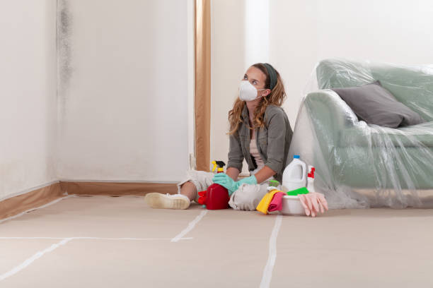 Reliable Mold Inspection And Testing contractor in Frankfort, MI by Mold Remediation HQ